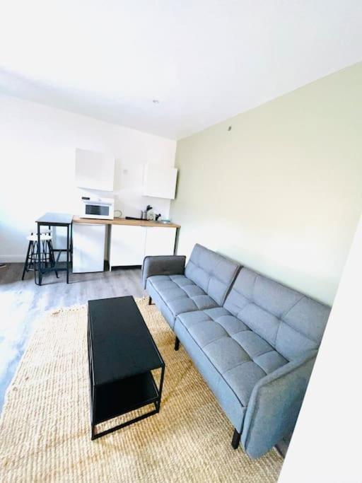 Studio Tout Equipe Au Calme Et Chaleureux Lägenhet Saint-Etienne  Exteriör bild
