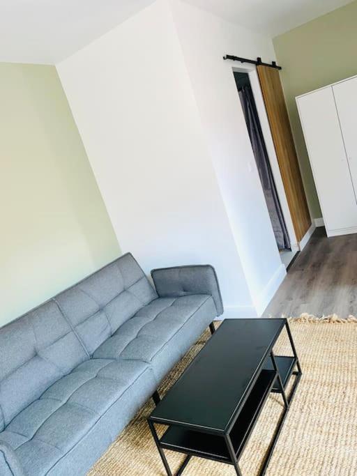Studio Tout Equipe Au Calme Et Chaleureux Lägenhet Saint-Etienne  Exteriör bild